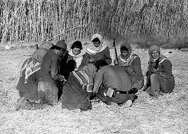 Eğitimdeki Filistinli kadınlar.